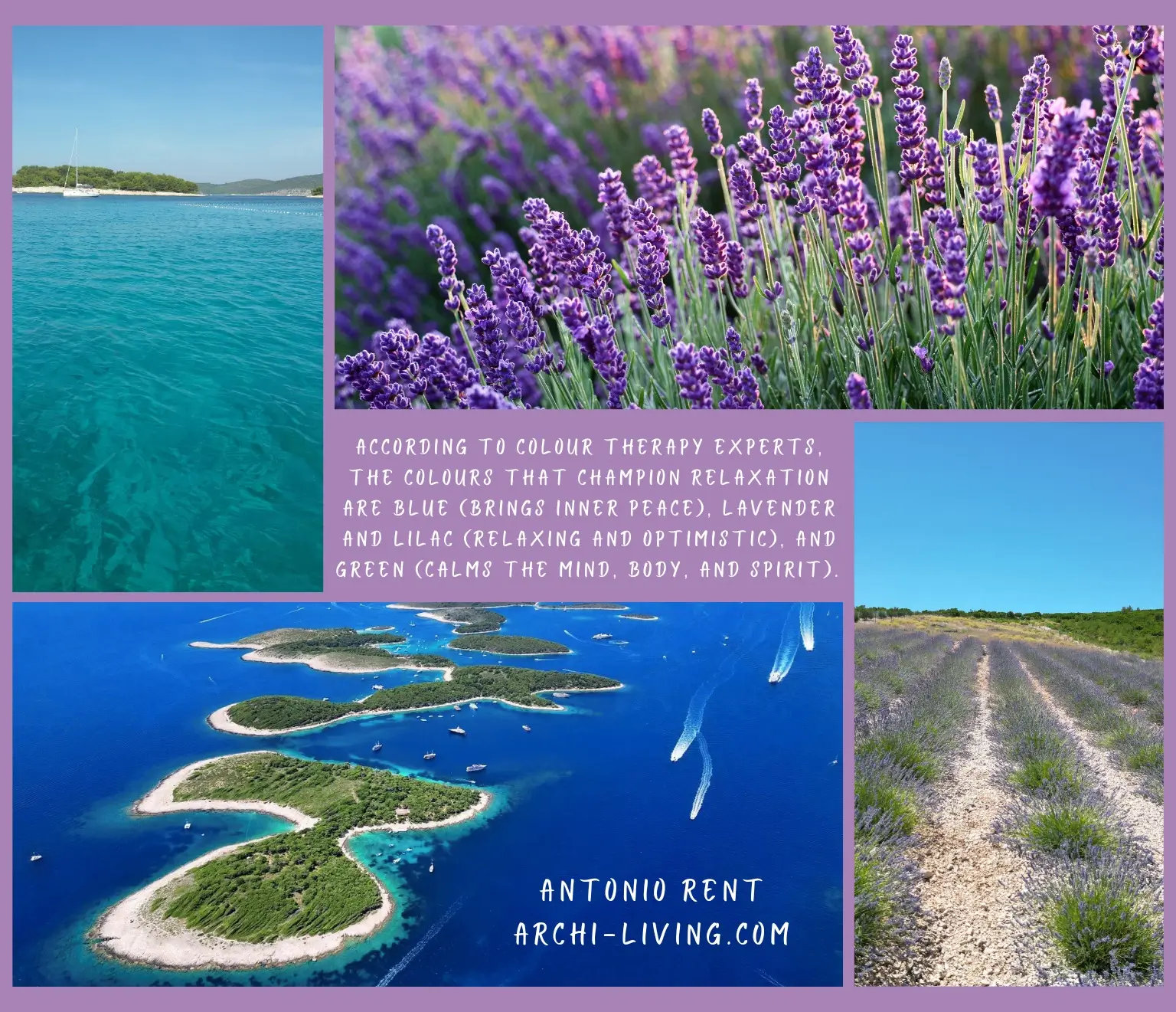 Fragrant Lavender Quotes and Sayings, Archi-living.com