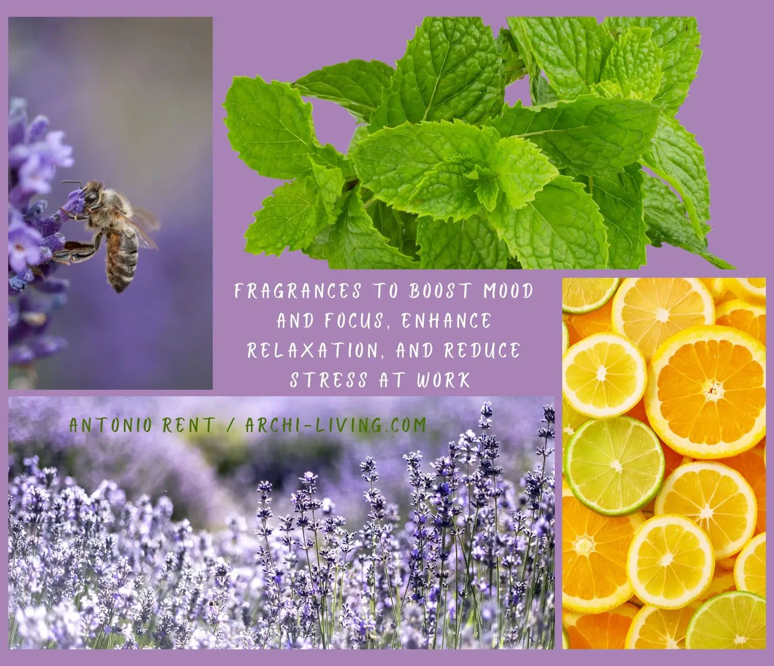 Fragrances to Enhance Relaxation and Reduce Stress at Work, Archi-living.com