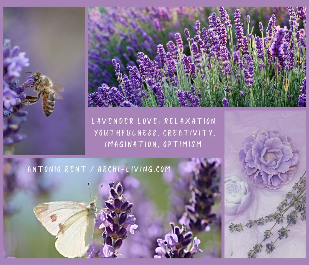 Hvar Loves Lavender: Relaxation, Youthfulness, Creativity, Imagination, Optimism, Archi-living.com